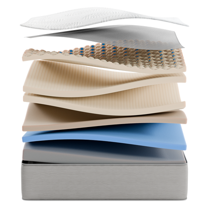 Grand Paradise Collection – 13" Oversized