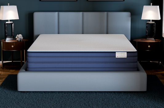 Ortho-Medi 3000 13" Orthopedic