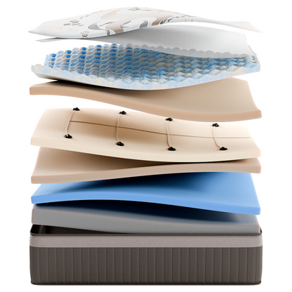 Comfort Dream 14" Orthopedic