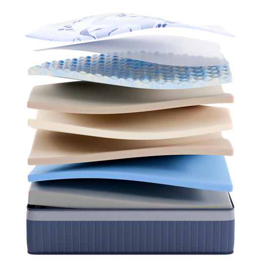 Smart Sleep 12" Orthopedic